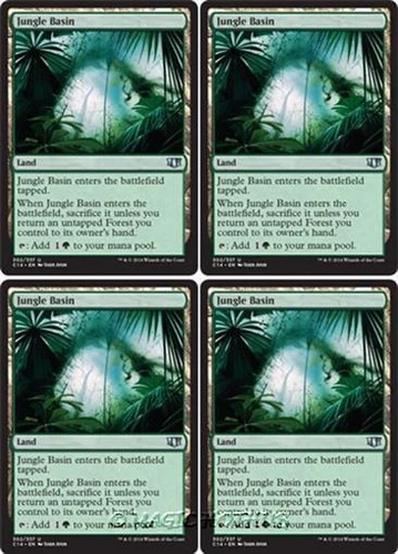 Jungle Basin