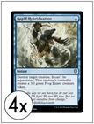 Rapid Hybridization #