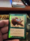 Bull Hippo