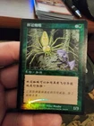 Canopy Spider