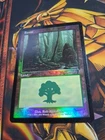 Forest [Foil] #