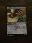 Acid-Spewer Dragon