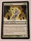 Ageless Entity