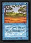 Phantasmal Terrain