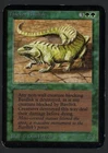 Thicket Basilisk