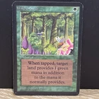 Wild Growth