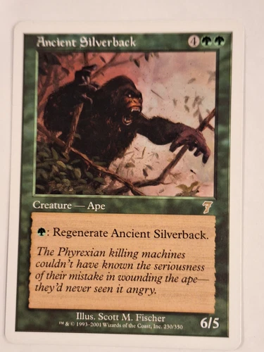 Ancient Silverback
