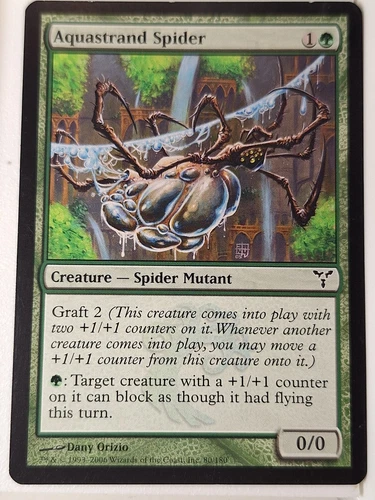 Aquastrand Spider