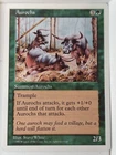 Aurochs