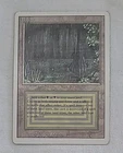 Bayou