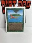Birds of Paradise
