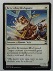 Benevolent Bodyguard