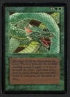 Craw Wurm