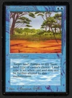 Phantasmal Terrain