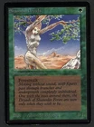Shanodin Dryads