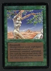 Shanodin Dryads