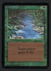Stream of Life