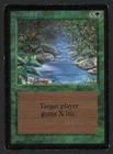 Stream of Life