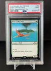 Birds of Paradise