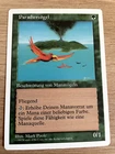 Birds of Paradise