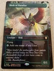 Birds of Paradise #