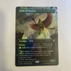 Birds of Paradise