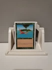 Birds of Paradise