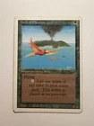 Birds of Paradise
