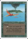 Birds of Paradise