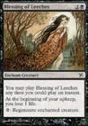 Blessing of Leeches