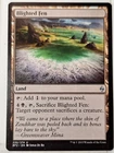 Blighted Fen