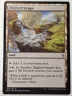 Blighted Steppe