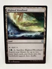 Blighted Woodland #