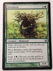 Briarhorn