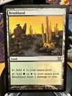 Brushland