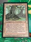 Hollow Trees