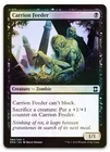 Carrion Feeder