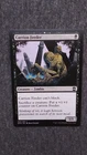 Carrion Feeder