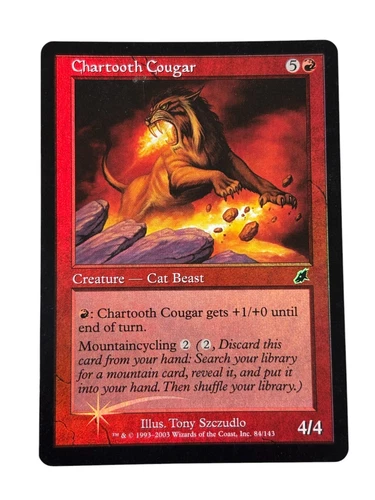 Chartooth Cougar