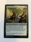 Cloakwood Hermit #