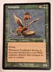 Cockatrice
