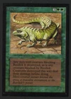 Thicket Basilisk