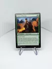 Curse of Bounty