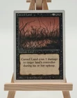 Cursed Land #