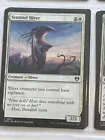 Sentinel Sliver #