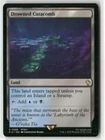 Drowned Catacomb #