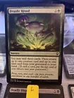 Circle of the Land Druid #