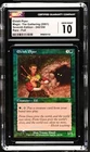 Elvish Archers