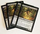Entropic Eidolon