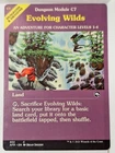 Evolving Wilds